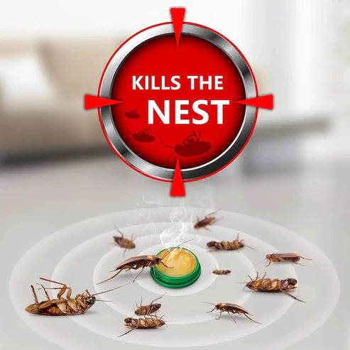Cockroach Killer (Pack of 12)