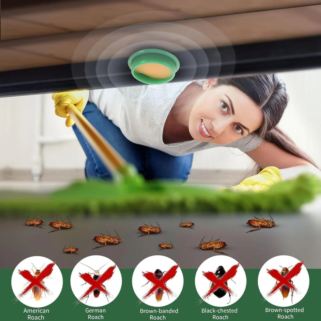 Cockroach Killer (Pack of 12)