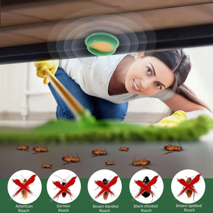 Cockroach Killer (Pack of 12)