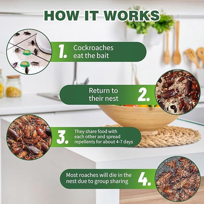 Cockroach Killer (Pack of 12)